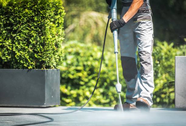 Best Spring Cleaning  in Minonk, IL