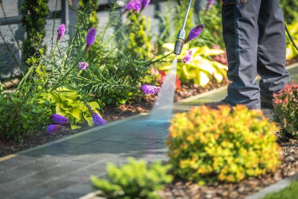 Best Winterizing Services  in Minonk, IL