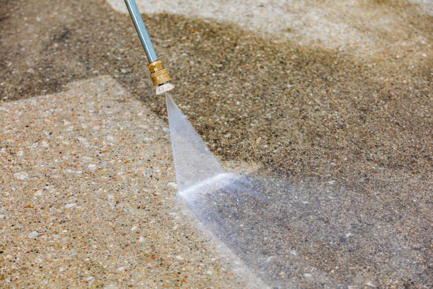 Best Roof Washing  in Minonk, IL