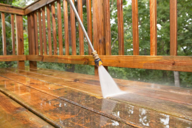 Best Dumpster Area Cleaning  in Minonk, IL